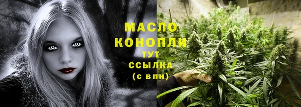 дживик Абаза