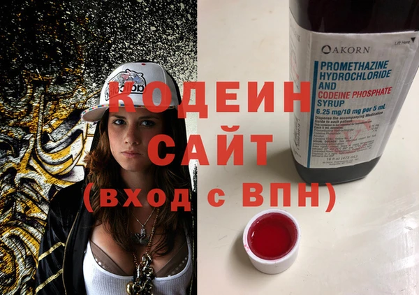 дживик Абаза